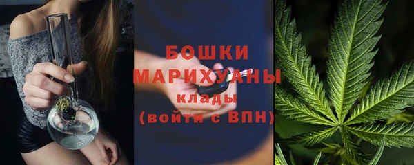 PSILOCYBIN Белоозёрский