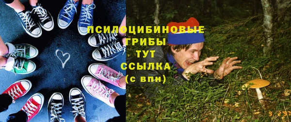 гидра Богородицк