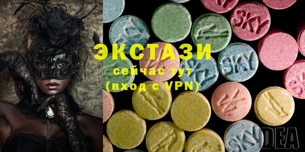 гидра Богородицк