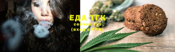 гидра Богородицк