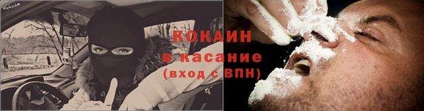 МДПВ Протвино