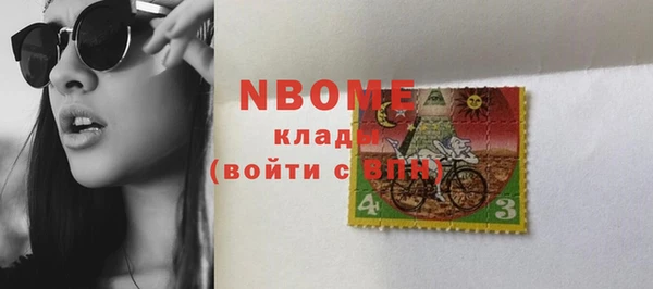 гидра Богородицк
