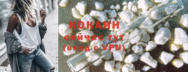 метадон Богданович