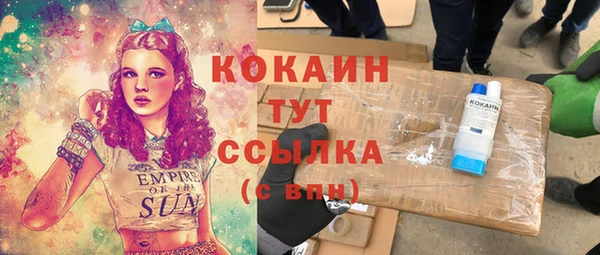 метадон Богданович