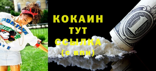 гидра Богородицк