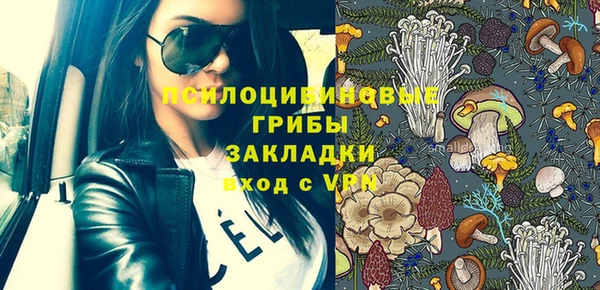 ГАЛЛЮЦИНОГЕННЫЕ ГРИБЫ Беломорск