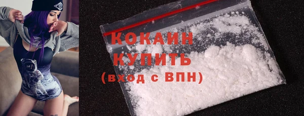 ГАЛЛЮЦИНОГЕННЫЕ ГРИБЫ Рославль