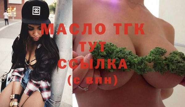 гидра Богородицк