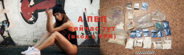 метадон Богданович