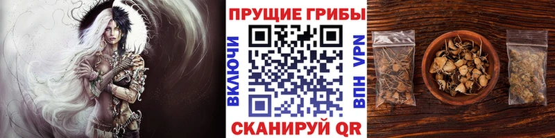 Галлюциногенные грибы мухоморы Мосальск