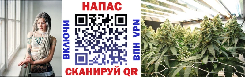 Бошки марихуана Amnesia  MEGA вход  Мосальск 